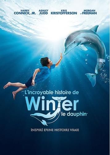 L'Incroyable histoire de winter le dauphin