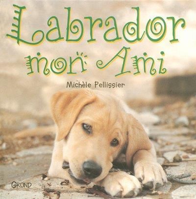 Labrador, mon ami