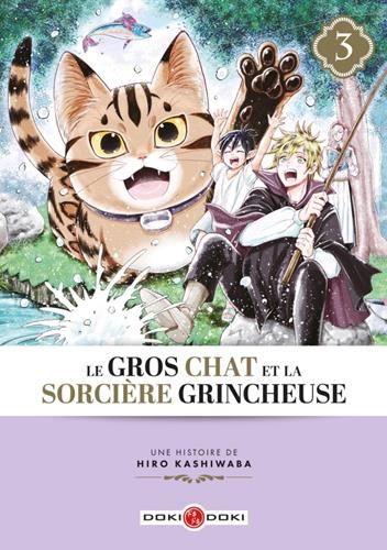 Le Gros chat et la sorcière grincheuse