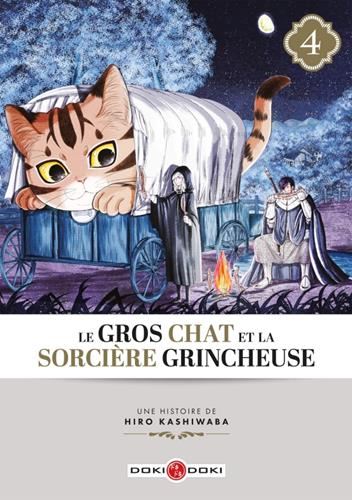Le Gros chat et la sorcière grincheuse